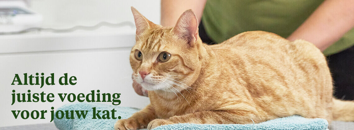 Met gratis voedingsadvies van jouw dierspecialist. Met gratis voedingsadvies van jouw dierspecialist.